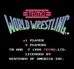 Tecmo World Wresting