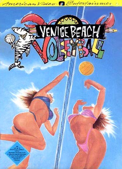 Venice Beach Volleyball